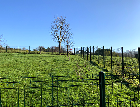 Cl tures Am nagement De Jardin Cl tures Am nagement De Jardin